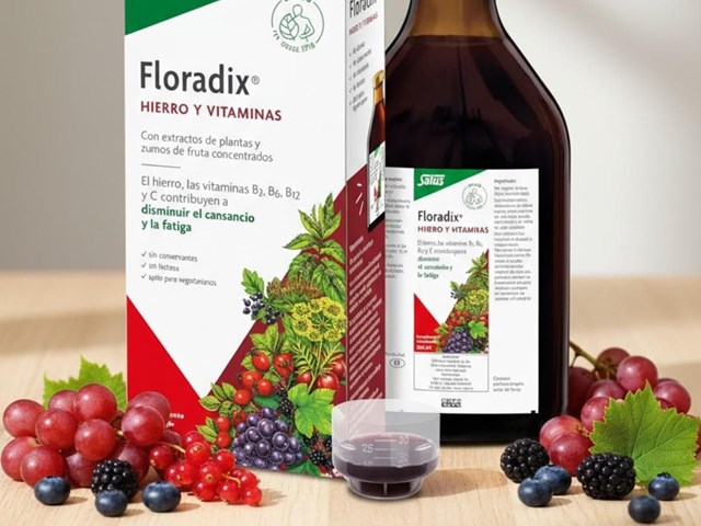 FLORADIX JARABE